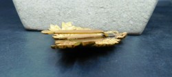 navy hat badge a